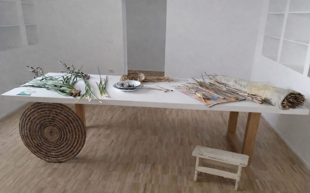 WORKSHOP INTRECCIO ASFODELO – Golfo Aranci