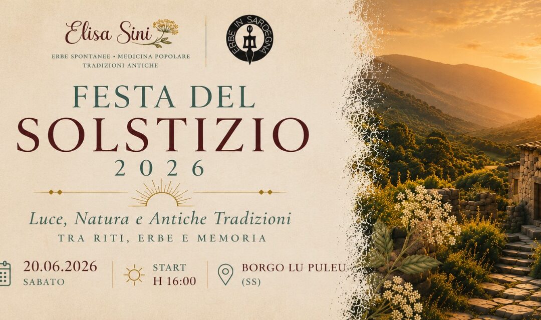 FESTA DEL SOLSTIZIO